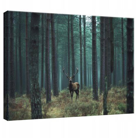 tableau pour chambre salon cuisine cerf nature fort sur toile Murale 100x70