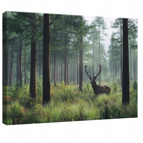 tableau pour chambre salon cuisine cerf nature fort sur toile Murale 100x70