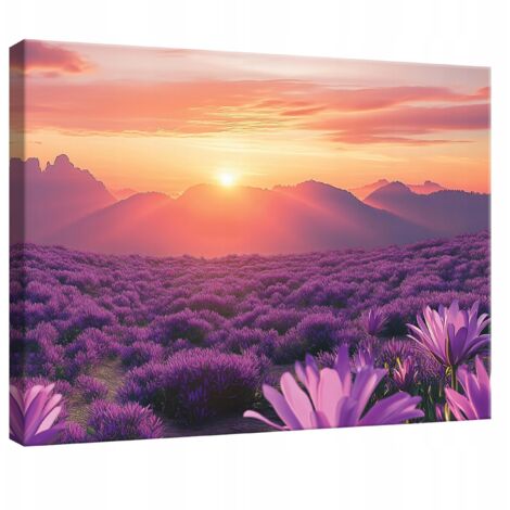 tableau pour chambre salon cuisine montagne vue nature toile Murale 40x30