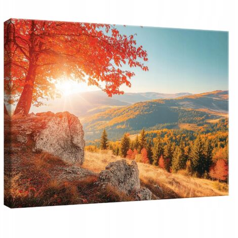 tableau pour chambre salon cuisine paysage montagne sur toile Murale 100x70