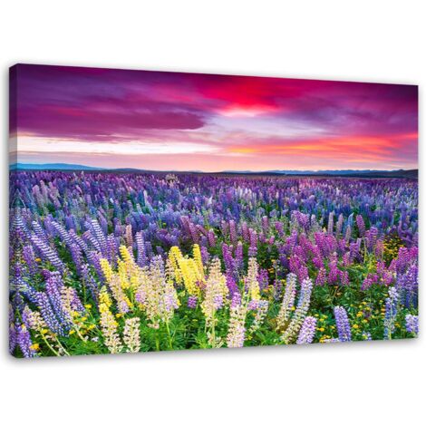 Tableau, Prairie en fleurs - 120x80