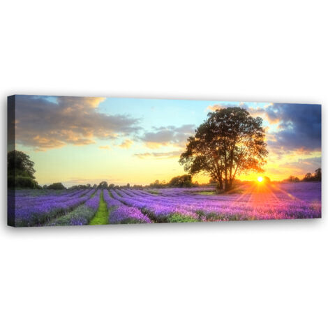 Tableau sur toile Arbre dans un champ de lavande 90x30