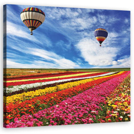 Tableau sur toile Ballons de fleurs des champs 40x40
