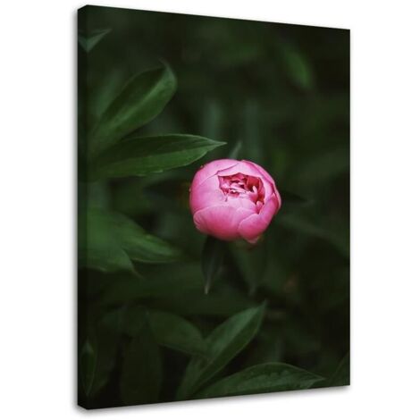 Tableau sur toile Bouton de fleur rose Nature 40x60