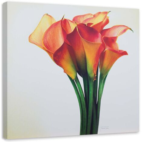 Tableau sur toile Callas Fleur rouge 40x40