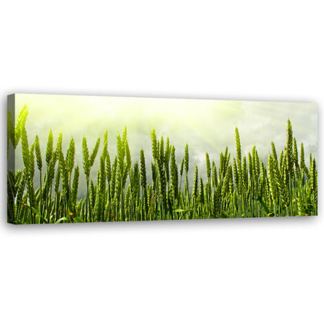 Tableau sur toile Champ de blé 90x30
