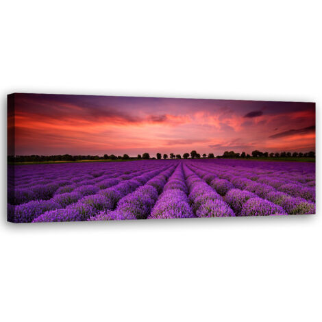 Tableau sur toile Champ de fleurs violettes 90x30