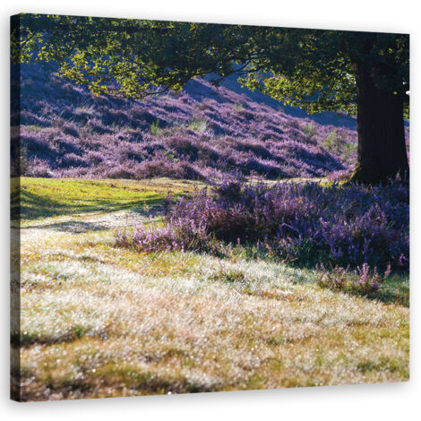 Tableau sur toile Champ de lavande 30x30