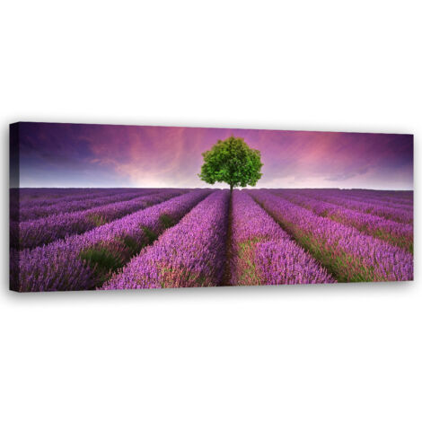Tableau sur toile Champ de lavande 90x30