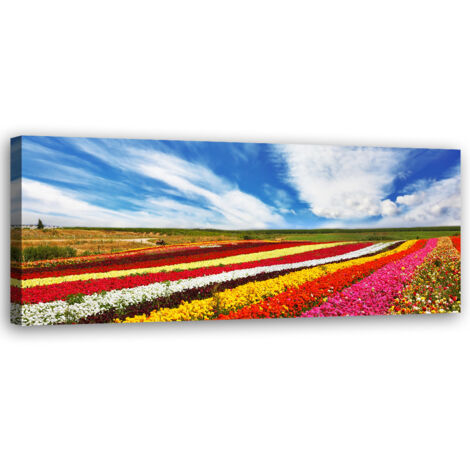 Tableau sur toile Champ de tulipes colorées 90x30
