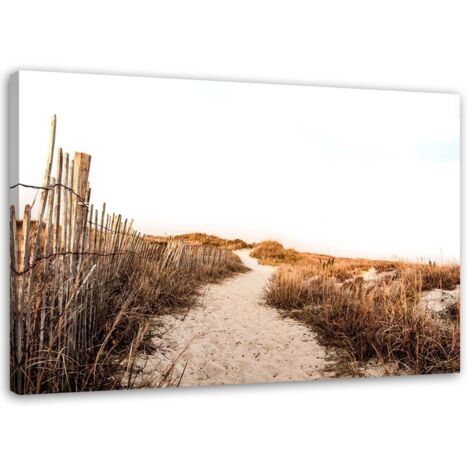 Tableau sur toile Chemin à travers les dunes Plage Mer 60x40