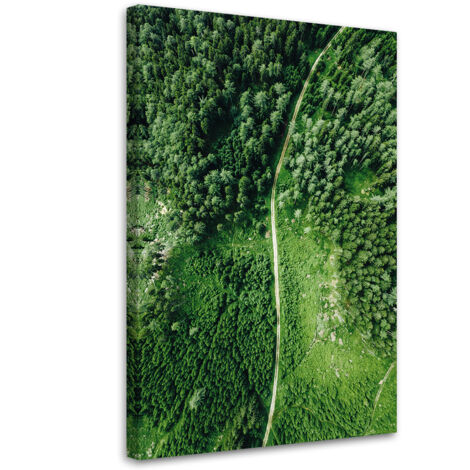 Tableau sur toile Chemin dans une forêt verte 60x90