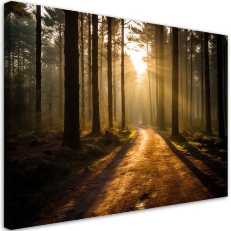 Tableau sur toile Chemin de forêt 100x70