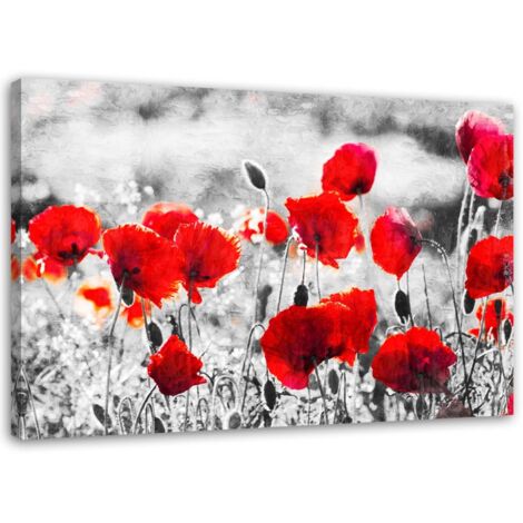 Tableau sur toile Coquelicots Fleurs Rouge Nature 60x40