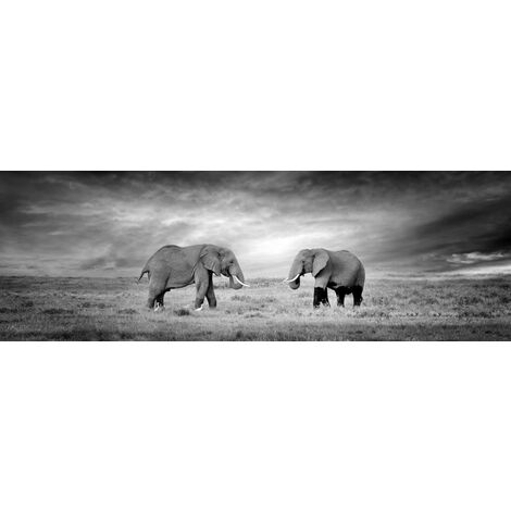 Tableau sur toile couple d'éléphant 30x97 cm - Noir & Blanc