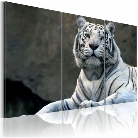 Tableau sur toile Tigre - Papillons - Animaux - Jungle - Fleurs - 120x80 cm  