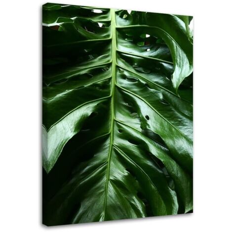 Tableau sur toile Feuille de Monstera Nature Tropicale 40x60