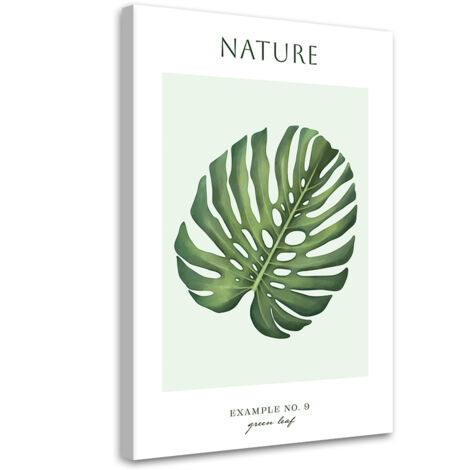 Tableau sur toile Feuille verte - Nature 60x90