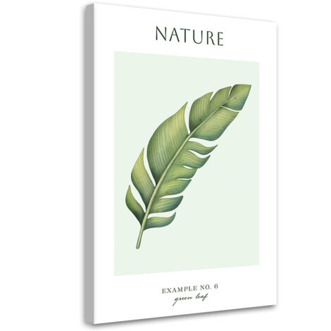 Tableau sur toile Feuille verte - Nature 60x90