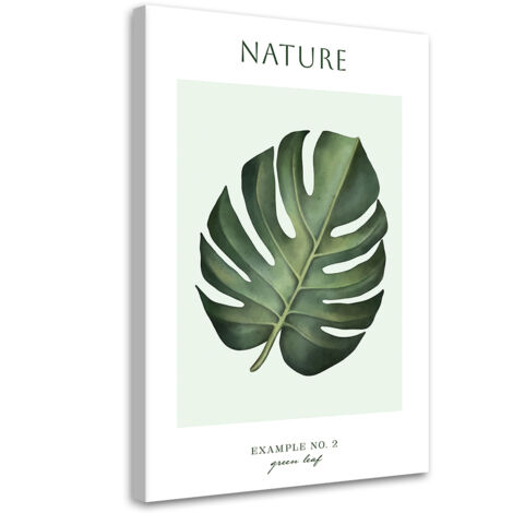 Tableau sur toile Feuille verte - Nature 70x100