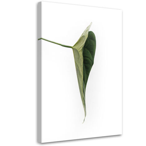 Tableau sur toile Feuille verte nature botanique 70x100