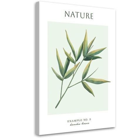 Tableau sur toile Feuilles de bambou - Nature 40x60