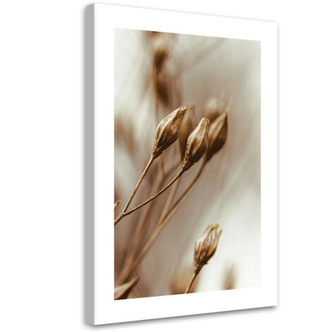 Tableau sur toile Feuilles de fleurs fanées 60x90