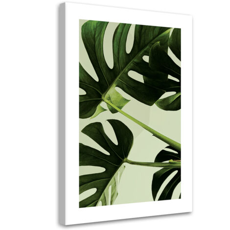 Tableau sur toile Feuilles de monstera vertes 60x90