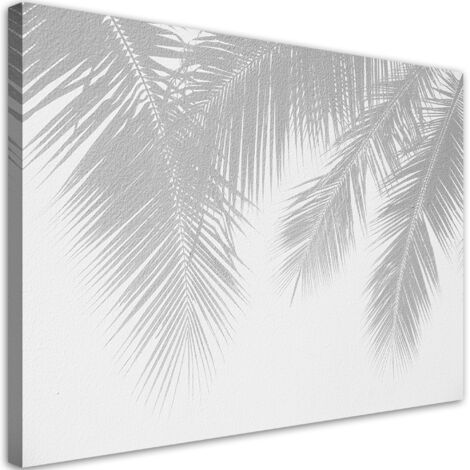 Tableau sur toile Feuilles de palmier grises 60x40