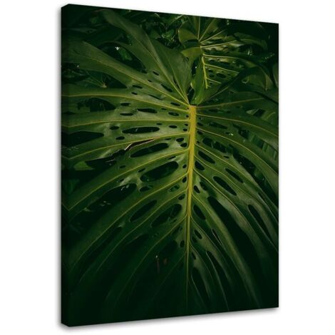 Tableau sur toile Feuilles exotiques Nature 40x60