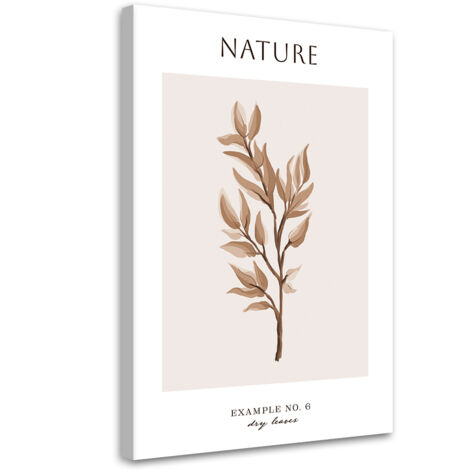 Tableau sur toile Feuilles sèches - Nature 40x60