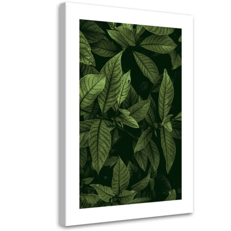 Tableau sur toile Feuilles vertes 70x100