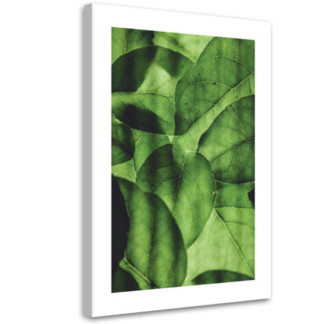 Tableau sur toile Feuilles vertes en macro 40x60