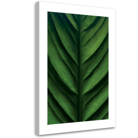 Tableau sur toile Feuilles vertes en macro 60x90
