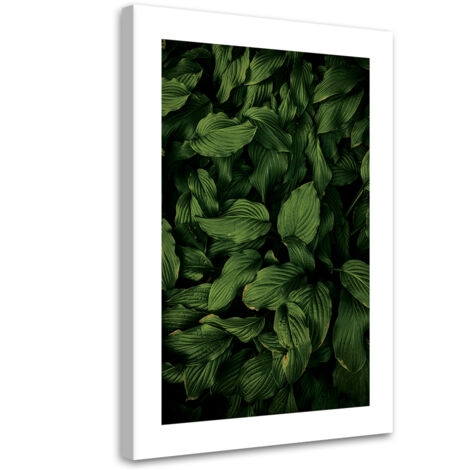 Tableau sur toile Feuilles vertes foncées 40x60