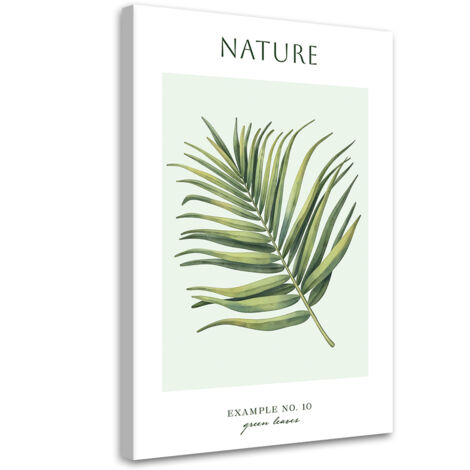 Tableau sur toile Feuilles vertes - Nature 40x60