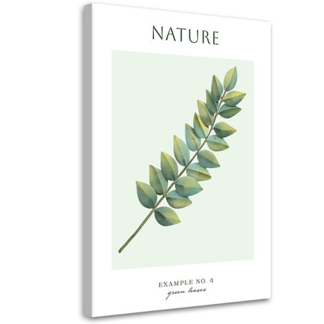 Tableau sur toile Feuilles vertes - Nature 60x90
