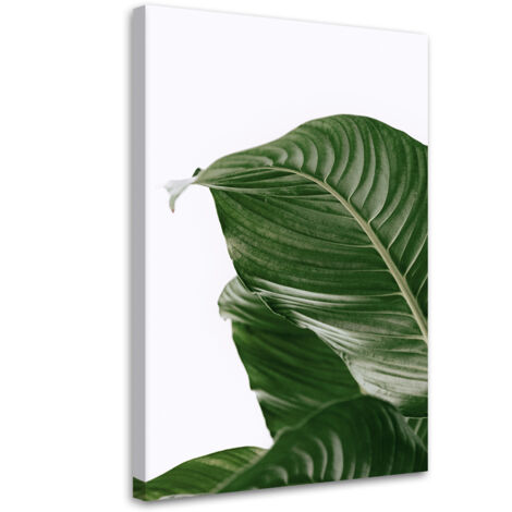Tableau sur toile Feuilles vertes nature botanique 40x60