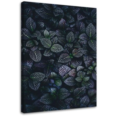 Tableau sur toile Feuilles violettes Nature 40x60