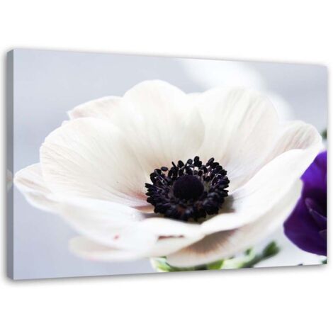 Tableau sur toile Fleur Blanc Naturel 90x60