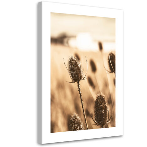 Tableau sur toile Fleur de cardère séchée 70x100