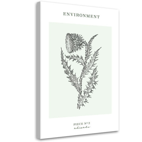 Tableau sur toile Fleur de chardon - Environnement 40x60