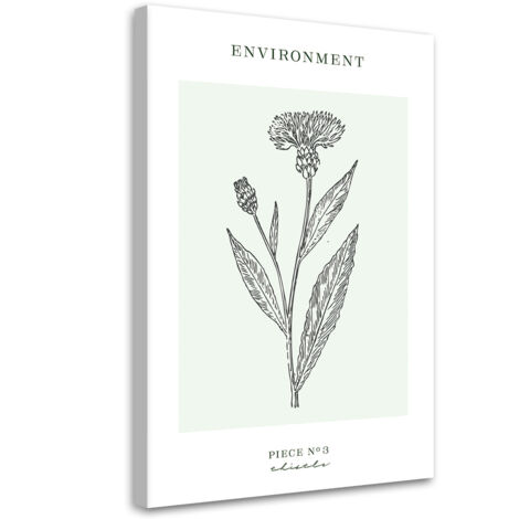 Tableau sur toile Fleur de chardon - Environnement 40x60