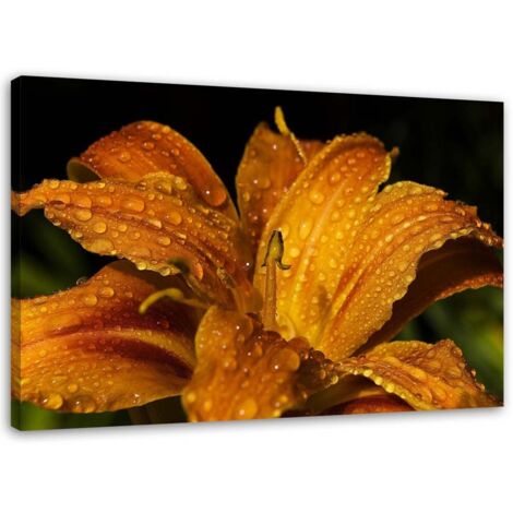 Tableau sur toile Fleur de lys Nature Plantes 90x60