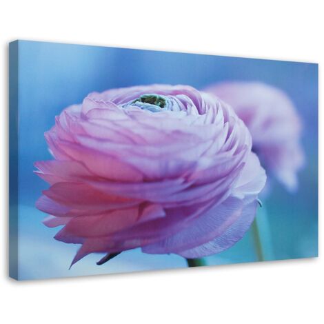 Tableau sur toile Fleur de pivoine Nature 90x60
