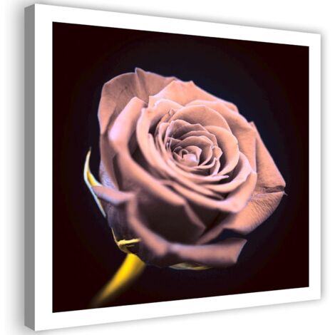 Tableau sur toile Fleur de rose rose nature 30x30