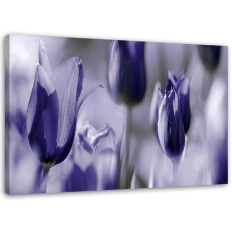 Tableau sur toile Fleur de tulipe Lila 60x40