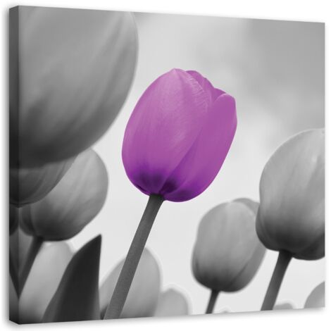 Tableau sur toile Fleur de tulipe lilas gris 50x50