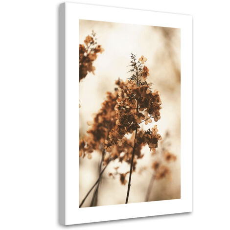 Tableau sur toile Fleur d'hortensia séchée 40x60