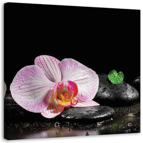 Tableau sur toile Fleur d'orchidée zen 50x50